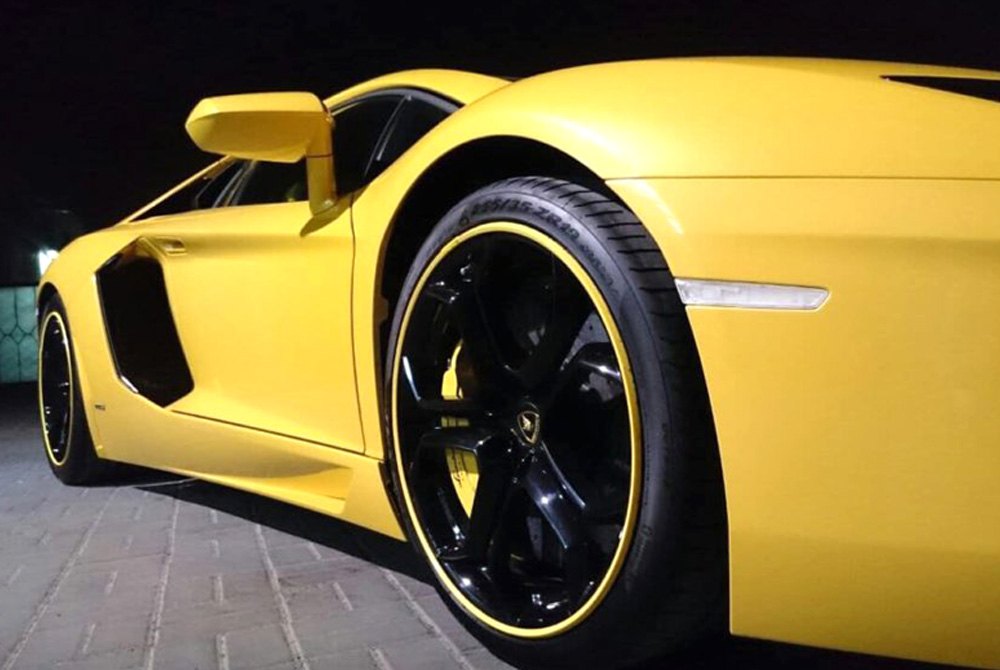 alloygator rim protection dubai elite shine